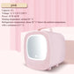 6L Mini Car Refrigerator Mirror Surface Fridge Car Home Dual-use Beauty Refrigerator Facial Mask Cosmetics Cooler With LED Light